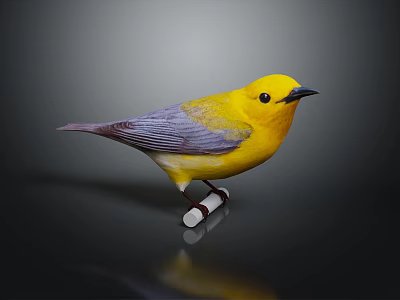 Vibrant Yellow Bird With Purple Gray Wings Perched On White Stand Against Dark Background 3d model