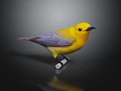 Modern oriole 3d model