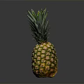 Fresh golden pineapple with green leaf crown on black reflective surface 3d model