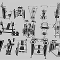 Diverse Sports Equipment Collection With Treadmill Dumbbells Weight Bench And Fitness Machines