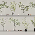 Stylish Vases With Green Foliage On Shelves And Decorative Balls For Indoor Decor
