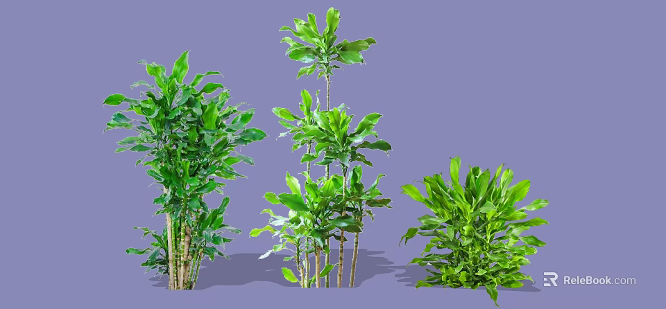 Lush Green Decorative Shrubs with Various Heights and Healthy Foliage for Garden Landscaping 3d model 