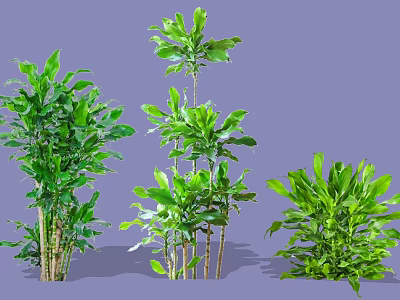 Lush Green Decorative Shrubs with Various Heights and Healthy Foliage for Garden Landscaping 3d model