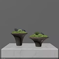 Decorative Ornament Set Conical Wood Grain Bases Green Moss Stones And Plant On Marble Tabletop