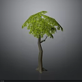 Green Tree with Umbrella Shaped Canopy and Brown Trunk on Gray Background