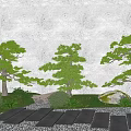Pine Pohan Pine Moss Micro Topography Ting Step 3d model