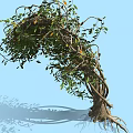modern tree plant shrub modeling tree 3d model