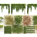 Various Vines Decorative Design With Hanging Green Leaves And Wall Covering Styles