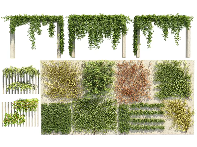 Various Vines Decorative Design With Hanging Green Leaves And Wall Covering Styles 3d model
