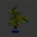 Decorative Bonsai Tree Featuring Green Leaves Brown Trunk and Blue Base Stand