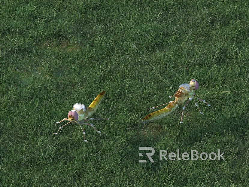 dragonfly animal model