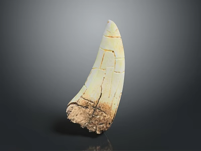 Ivory Shaped Sculpture Carving With Cracked Texture And Light Colored Surface On Dark Background 3d model
