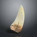 Ivory Shaped Sculpture Carving With Cracked Texture And Light Colored Surface On Dark Background