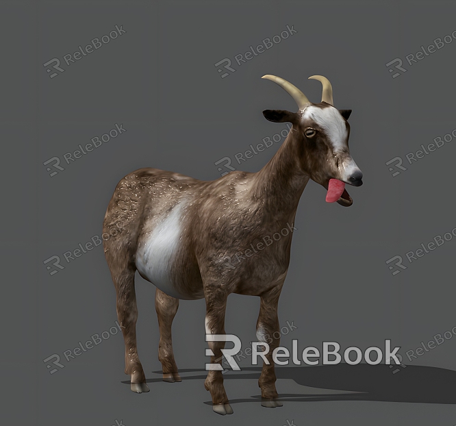 goat realistic animal sheep lamb goat ram mammal model