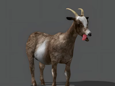 Brown And White Horned Reptile With Tongue Extended On Grey Surface 3d model