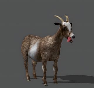 goat realistic animal sheep lamb goat ram mammal 3d model