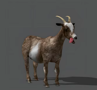 goat realistic animal sheep lamb goat ram mammal 3d model