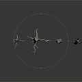 Decorative Natural Dried Plant Branches With Various Shapes And Sizes On White Background