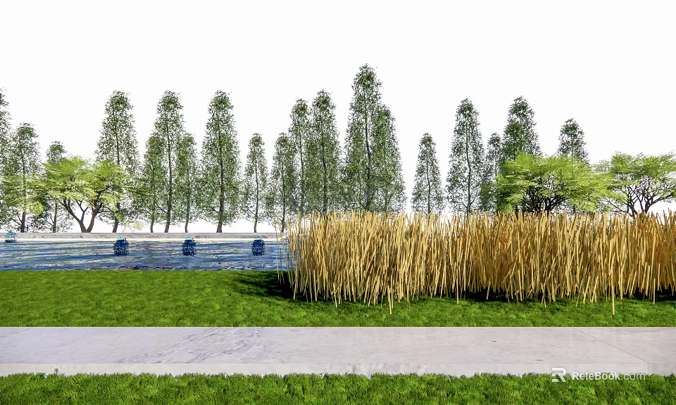 Natural Arbor Scenery with Neat Tall Trees Green Grassland Golden Reeds and Path in Landscape 3d model 