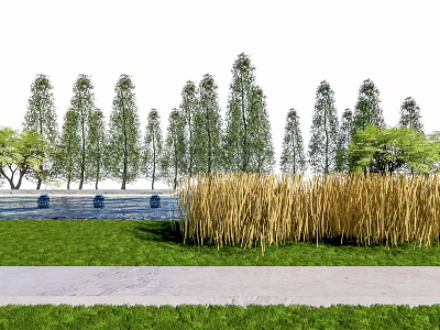 Natural Arbor Scenery with Neat Tall Trees Green Grassland Golden Reeds and Path in Landscape 3d model