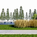 Natural Arbor Scenery with Neat Tall Trees Green Grassland Golden Reeds and Path in Landscape