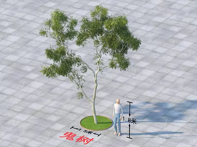 Arbor 8 Meters Tall With Green Circular Base On Gray Tiled Ground And Person Beside 3d model