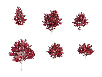 Vibrant Red Foliage Trees With Lush Autumn Leaves In Natural Setting 3d model