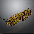 Yellow and Black Striped Caterpillar With Antennae on Shiny Surface