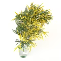Yellow Flower Arrangements With Green Leaves In Clear Glass Vases For Decor