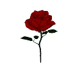 Vibrant Red Rose Flower With Fresh Green Leaves On Light Green Background