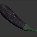 Fresh Purple Eggplant with Green Stem and Smooth Skin on Dark Background
