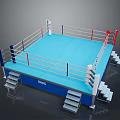 Standard Boxing Ring Structure With Blue Mat Surface Roped Barriers And Side Steps
