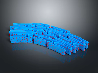 Anatomical Blue 3D Organ Structure Model with Hair Follicles and Red Dots 3d model