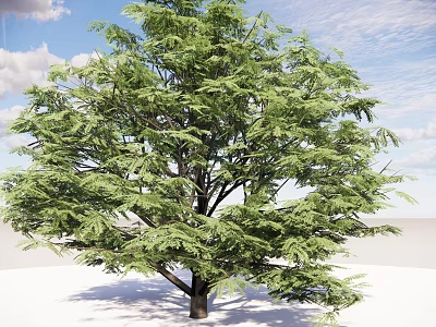 Lush Green Arbor With Dense Foliage Against Blue Sky And White Clouds 3d model