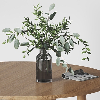 vase plant ornaments book 3d model