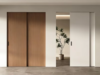 Modern Wooden Brown and White Sliding Doors in Contemporary Interior with Indoor Plant 3d model
