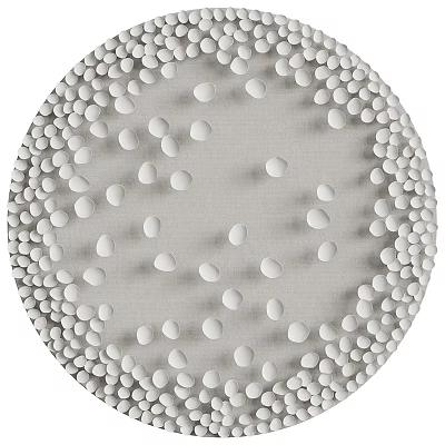 Elegant Decorative Ornament Set With Circular Design White Raised Dots On Light Gray Fabric Texture 3d model