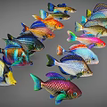 Colorful Aquatic Animals Various Fish With Bright Colors And Patterns Swimming Together