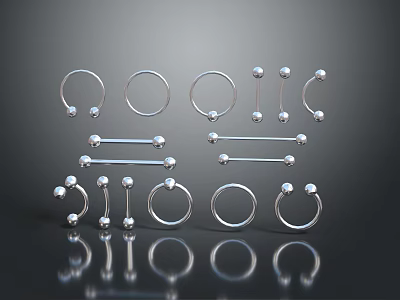 Shiny Silver Body Piercing Jewelry With Multiple Hoop Rings And Bar Studs 3d model