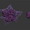 Purple Organ And Hair Resembling Structures With Large Base And Small Formation