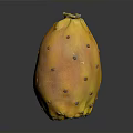 Orange Yellow Prickly Pear Fruit With Small Spines On Dark Background Surface