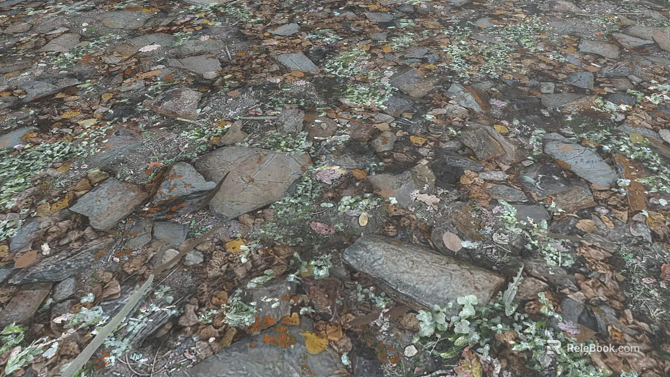 Detailed Natural Micro Terrain View With Irregular Rocks Fallen Leaves And Mossy Patches 3d model 