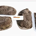 Natural Stone and Wood Decorative Pieces With Textured Surfaces and Natural Patterns