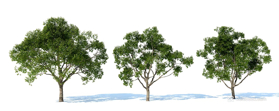 Lush Green Arbor With Dense Foliage And Sturdy Trunk Casting Shadows 3d model