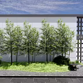 Modern Landscape Wall with Bamboo Trees Green Lawn and Stone Lantern