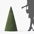 Conical Trimmed Green Shrub Beside Female Silhouette Wearing High Heels And Holding Handbag