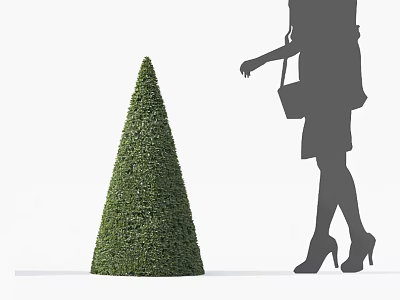 Conical Trimmed Green Shrub Beside Female Silhouette Wearing High Heels And Holding Handbag 3d model