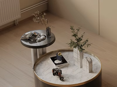 Modern Living Room Coffee Table Set With Round Marble Tops And Decorative Plants Accessories 3d model