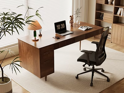 Modern Wooden Desk Workspace With Laptop Lamp Office Chair Green Plant Bookshelf Window And Rug 3d model