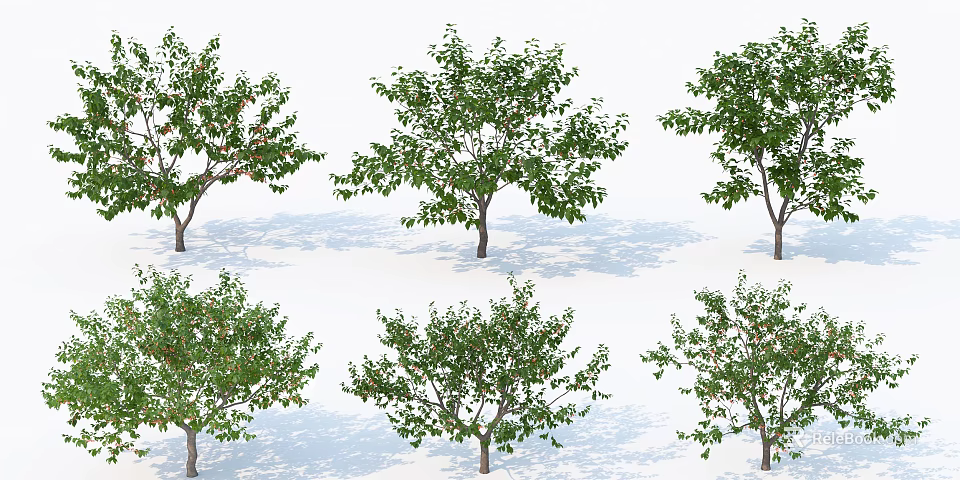Various Arbor Tree Varieties With Green Leaves And Diverse Shapes For Outdoor Landscaping 3d model 